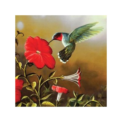 SUN67324 RUBY THROAT, 500, 18