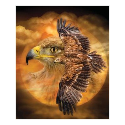 SUN55641 SPIRIT OF THE WIND, 1000 22