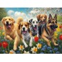 SUN28105 SPRING DAY JOY, 1000, 25