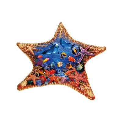 SUN97136 STARFISH, shape, 600