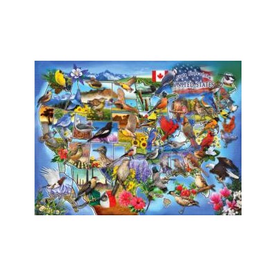 SUN58649 STATE BIRDS OF THE US, 1000, 24