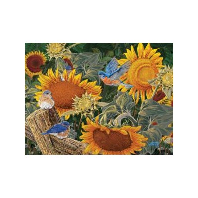 SUN38949 SUNFLOWER PATCH 300, 23
