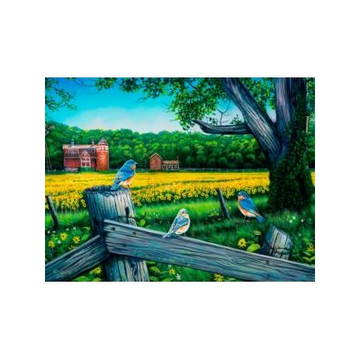 SUN60862 SUNFLOWER VALLEY BLUES, 500, 25