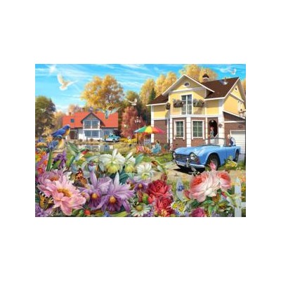 SUN61920 SUNNY YARD, 550+, 24