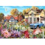 SUN61920 SUNNY YARD, 550+, 24