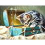 SUN28101 THE JEWELRY BOX, 500, 25