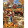 SUN57144 PUMKIN PATCH FARM, 1000, 19h