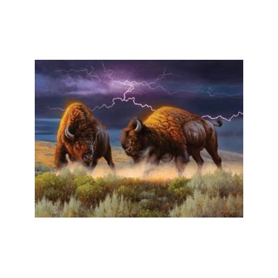 SUN50110 THUNDERSTRUCK, 500, 19