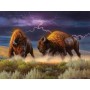 SUN50110 THUNDERSTRUCK, 500, 19
