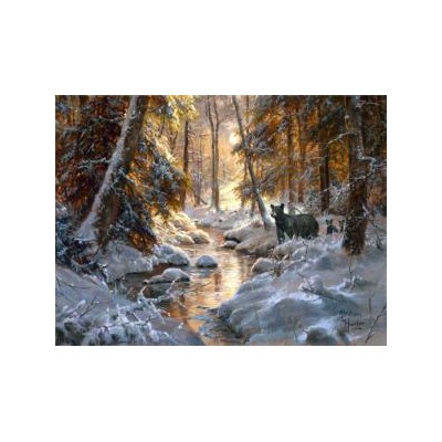 SUN69858 TIME TO HOBERNATE, 500, 24