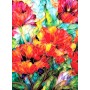 SUN71332 TULIPS, 1000, 25