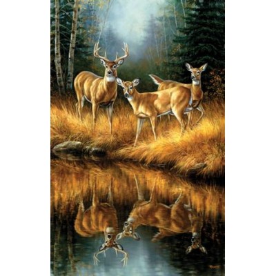 SUN30923 WHITETAIL REFLECTIONS, 550, 18