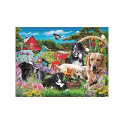 SUN42263 WHO HAS A GREEN THUMB, 500 22