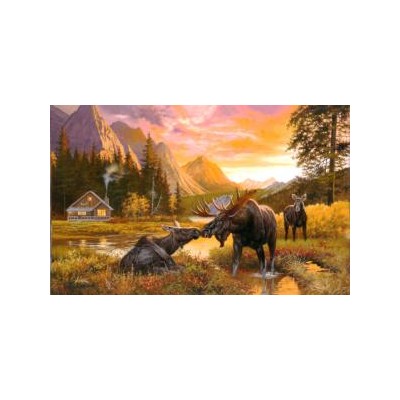 SUN50158 WILD SERENITY, 550, 24