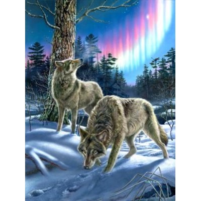 SUN28397 WOLVES AND LIGHTS, 1000, 24