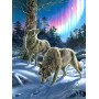 SUN28397 WOLVES AND LIGHTS, 1000, 24