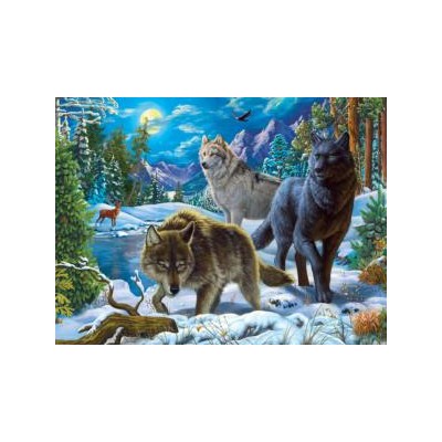 SUN42943 WOLVES ON A SNOWY NIGHT, 1000, 24