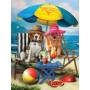 SUN28884 BEACH DOGS, 300, 19