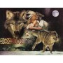 SUN40088 ARAPAHO MOON, 500, 23