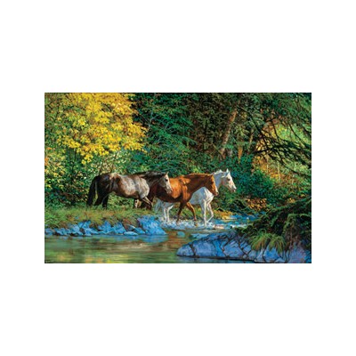 SUN44855 BEAR CREEK CROSSING, 1000, 18