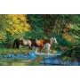 SUN44855 BEAR CREEK CROSSING, 1000, 18