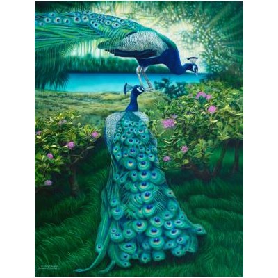 SUN47150 A PAIR OF PEACOCKS, 500, 20