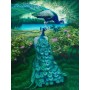 SUN47150 A PAIR OF PEACOCKS, 500, 20