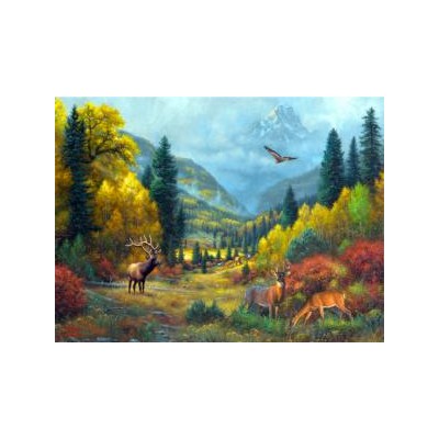 SUN53140 AUTUMN CALLS, 1000, 21