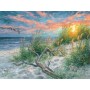 SUN69728 BEACH LIFE, 500 22