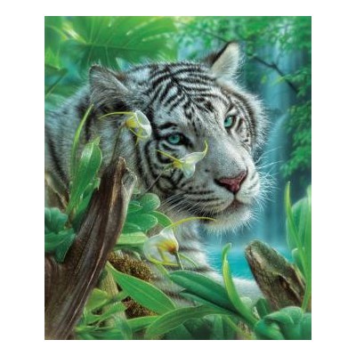 SUN21802 WHITE TIGER OF EDEN, 1000, 21