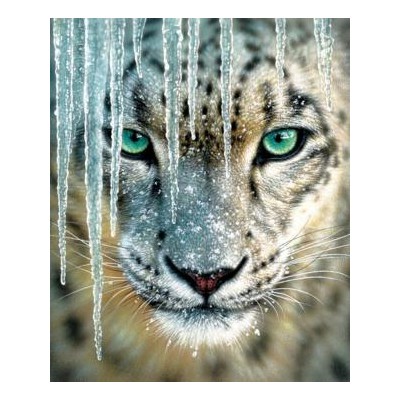 SUN21861 BLUE ICE, 1000, 19 *