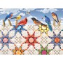 SUN24210 FEATHERED STARS, 500, 19