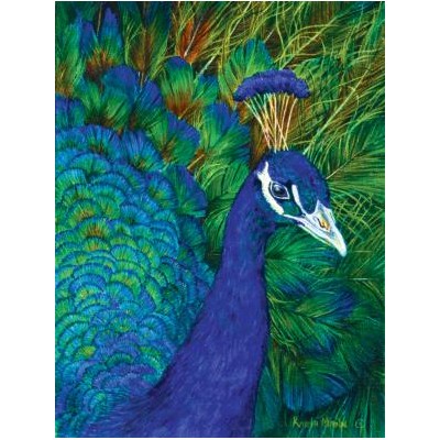 SUN26204 PEACOCK, 1000, 19 *