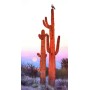 SUN27062 DESERT LOOKOUT, 500, 25