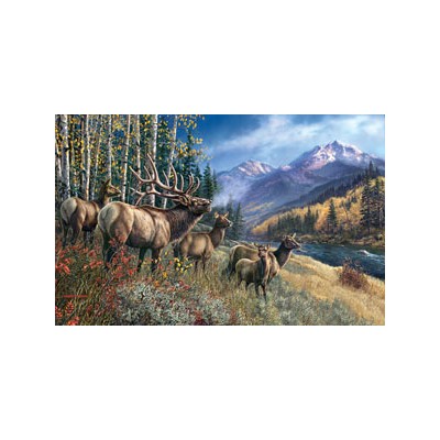SUN28448 ELK ANTHEM [1,000] 2007
