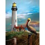 SUN28847 PIGEON POINT LIGHTHOUSE, 500, 19