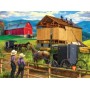 SUN28910 RAISING THE BARN, 500, 20
