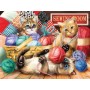 SUN28935 KITTIES FUN TIME, 500, 20