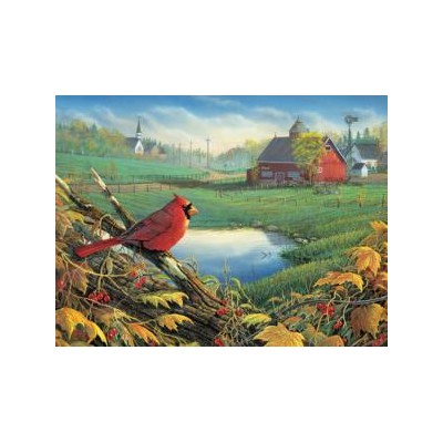 SUN29064 FARMLAND VISITOR, 500, 24