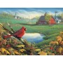 SUN29064 FARMLAND VISITOR, 500, 24