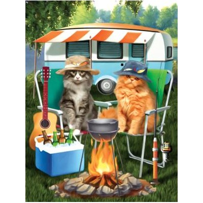 SUN29762 CAMPING BUDDIES, 300, 21