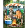 SUN29762 CAMPING BUDDIES, 300, 21