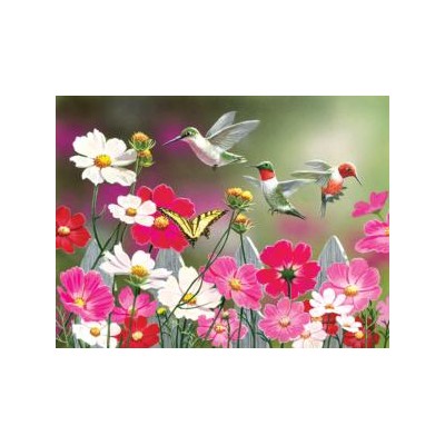 SUN30412 COSMOS AND HUMMINGBIRDS, 500, 19