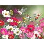 SUN30412 COSMOS AND HUMMINGBIRDS, 500, 19