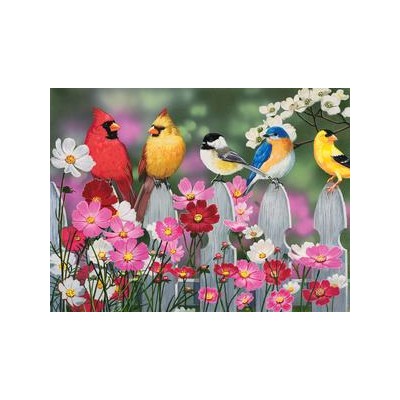 SUN30448 SONGBIRDS AND COSMOS, 500, 18