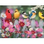 SUN30448 SONGBIRDS AND COSMOS, 500, 18