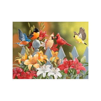 SUN30479 BIRDS ON A FENCE, 300, 20