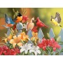 SUN30479 BIRDS ON A FENCE, 300, 20