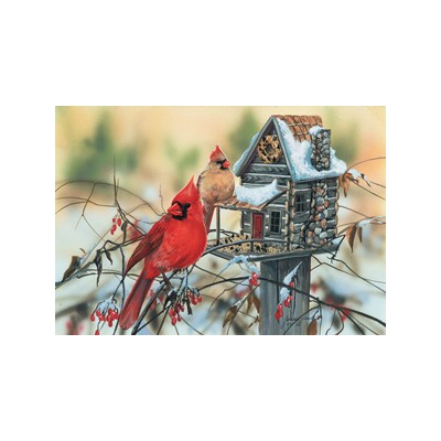 'SUN30624 CARDINAL''S RUSTIC RETREAT, 500, 2010'