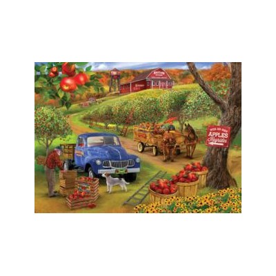 SUN31955 PICK UR OWN APPLES, 500+ 22 *